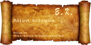 Bálint Krizanta névjegykártya